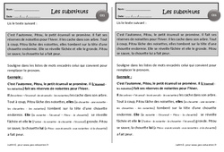 Le petit écureuil - Exercices de lecture - Les substituts : 4ème Harmos - PDF à imprimer