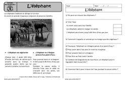 L'éléphant - Lecture documentaire : 4ème Harmos - PDF à imprimer