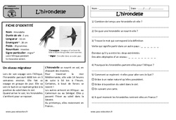 L'hirondelle - Lecture documentaire : 4ème Harmos - PDF à imprimer