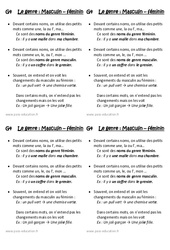 Masculin - Féminin - Le genre - Cours, Leçon : 4ème Harmos - PDF gratuit à imprimer