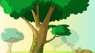 Vidéo Le plus bel arbre de la prairie - Anglais : 5ème, 6ème, 7ème Harmos