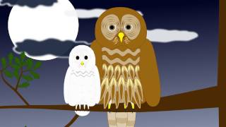 Vidéo Animaux qui s'entraident - Anglais : 5ème, 6ème, 7ème Harmos