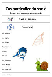 Son è - Devant une consonne - Affiche pour la classe : 3eme, 4ème Harmos - PDF à imprimer