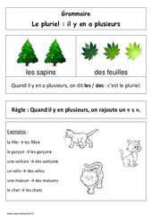 Le pluriel - Affiche pour la classe - Grammaire : 3eme Harmos - PDF à imprimer