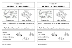 Pluriel - Cours, Leçon : 3eme Harmos - PDF gratuit à imprimer