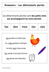 Les déterminants pluriels - Affiche pour la classe - Grammaire : 3eme Harmos - PDF à imprimer