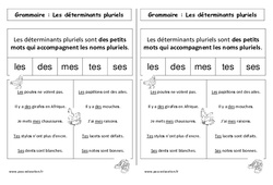 Déterminants pluriels - Cours, Leçon : 3eme Harmos - PDF gratuit à imprimer