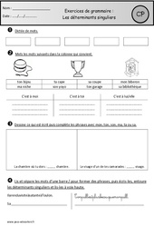 Révisions - Déterminants singuliers - Grammaire : 3eme Harmos - PDF à imprimer