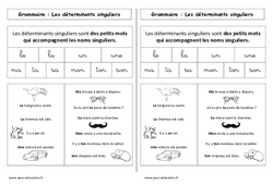 Déterminants singuliers - Cours, Leçon : 3eme Harmos - PDF gratuit à imprimer