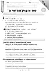 Nom et le groupe nominal - Examen Evaluation - Bilan : 5ème Harmos - PDF à imprimer