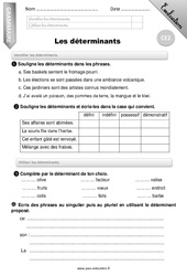 Déterminants - Examen Evaluation - Bilan : 5ème Harmos - PDF à imprimer