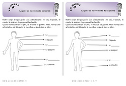 Mouvements corporels - Cours, Leçon : 3eme Harmos - PDF à imprimer