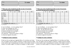 Nom - Exercices  sur le nom propre et le nom commun : 5ème Harmos - PDF à imprimer