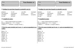 Nom féminin en e - Exercices corrigés : 5ème Harmos - PDF à imprimer