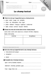Champ lexical - Examen Evaluation - Bilan : 5ème Harmos - PDF à imprimer