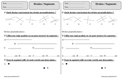 Droites - Segments - Exercices  : 4ème Harmos - PDF à imprimer