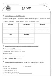 Nom propre et nom commun - Exercices  : 4ème Harmos - PDF à imprimer