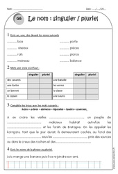 Singulier - Pluriel - Exercices avec correction : 4ème Harmos - PDF à imprimer