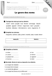 Genre des noms - Examen Evaluation - Bilan : 5ème Harmos - PDF à imprimer