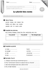 Pluriel des noms - Examen Evaluation - Bilan : 5ème Harmos - PDF à imprimer