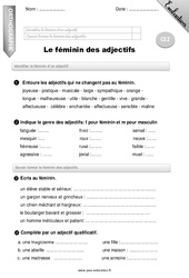 Féminin des adjectifs - Examen Evaluation - Bilan : 5ème Harmos - PDF à imprimer