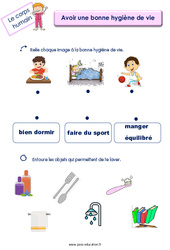 Avoir une bonne hygiène de vie - Le corps humain : 1ère, 2ème Harmos - PDF à imprimer