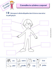 Connaitre le schéma corporel - Le corps humain : 1ère, 2ème Harmos - PDF à imprimer