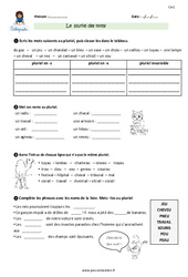 Pluriel des noms - Exercices avec correction : 6ème Harmos - PDF à imprimer