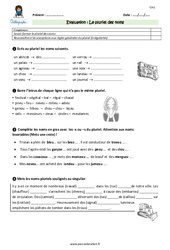 Pluriel des noms - Examen Evaluation - Bilan : 6ème Harmos - PDF à imprimer