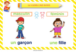 Genre des noms - Affiche de classe : 3eme, 4ème Harmos - PDF à imprimer