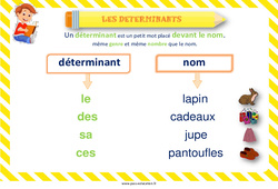 Déterminants - Affiche de classe : 3eme, 4ème Harmos - PDF à imprimer