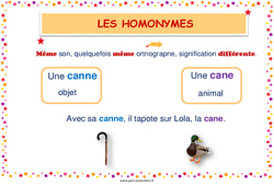 Homonymes lexicaux - Affiche de classe : 3eme, 4ème Harmos - PDF à imprimer