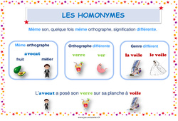 Homonymes - Affiche de classe : 5ème, 6ème, 7ème Harmos - PDF à imprimer