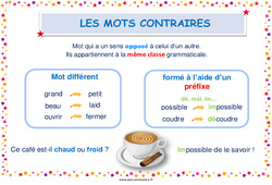 Mots contraires - Affiche de classe : 5ème, 6ème, 7ème Harmos - PDF à imprimer