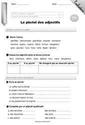 Pluriel des adjectifs - Examen Evaluation - Bilan : 5ème Harmos - PDF à imprimer