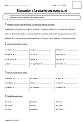 Pluriel des noms s,x - Examen Evaluation : 5ème Harmos - PDF à imprimer