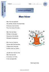 Mon hiver - Lecture compréhension - Poésie : 6ème Harmos - PDF à imprimer