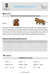 Son [z] - Séquence complète : 6ème Harmos - PDF à imprimer