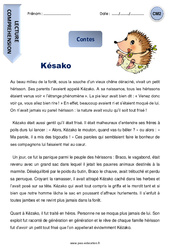 Késako - Lecture compréhension - Contes : 7ème Harmos - PDF à imprimer