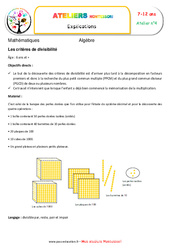 Critères de divisibilité - Algèbre - Montessori - Atelier 4 : 5ème, 6ème, 7ème Harmos - PDF à imprimer