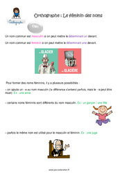 Le féminin des noms - Cours, Leçon : 6ème Harmos - PDF à imprimer