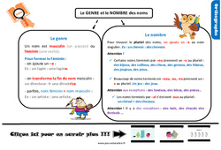 Le genre et le nombre des noms - Cours, Leçon, trace écrite : 6ème Harmos - PDF à imprimer