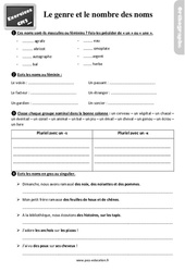 Le genre et le nombre des noms - Exercices, révisions : 7ème Harmos - PDF à imprimer