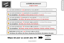Le pluriel des noms en X - Cours, Leçon, trace écrite : 7ème Harmos - PDF à imprimer