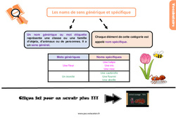 Les noms de sens générique et spécifique - Cours, Leçon, trace écrite : 6ème Harmos - PDF gratuit à imprimer