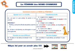 Le féminin des noms - Cours, Leçon, trace écrite : 5ème Harmos - PDF à imprimer