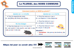 Le pluriel des noms - Cours, Leçon, trace écrite : 5ème Harmos - PDF à imprimer