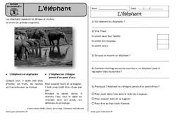 L'éléphant - Lecture documentaire - Compréhension : 3eme Harmos - PDF à imprimer