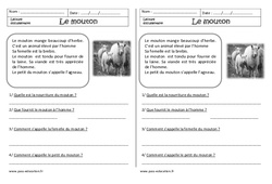 Le mouton - Lecture documentaire - Compréhension : 3eme Harmos - PDF à imprimer