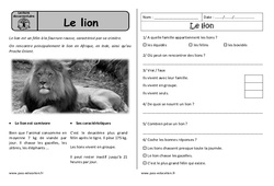 Le lion - Lecture documentaire - Compréhension : 3eme Harmos - PDF à imprimer